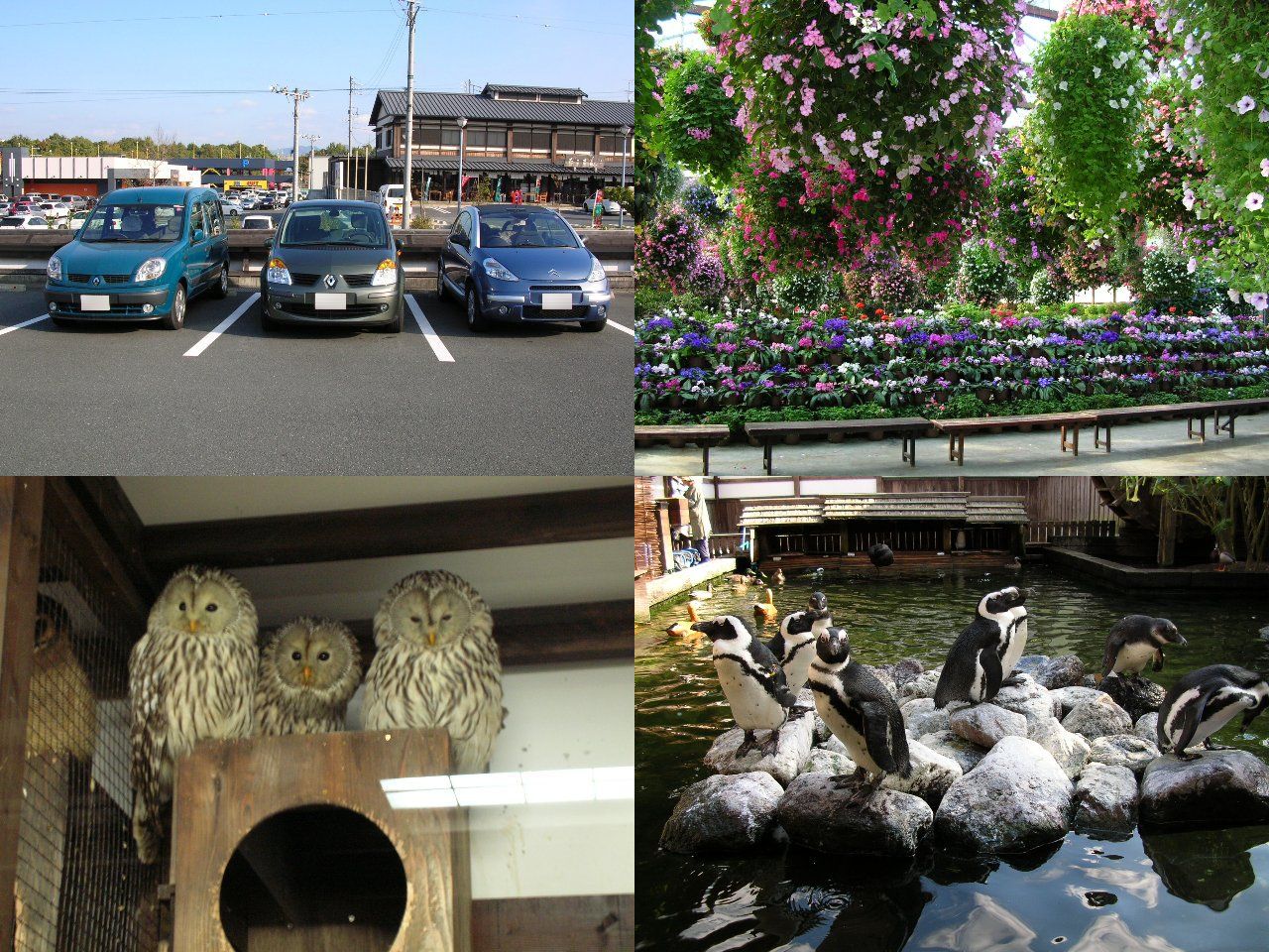 掛川花鳥園　その１
